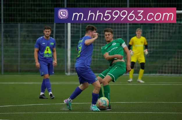 火狐体育官网首页服务体系